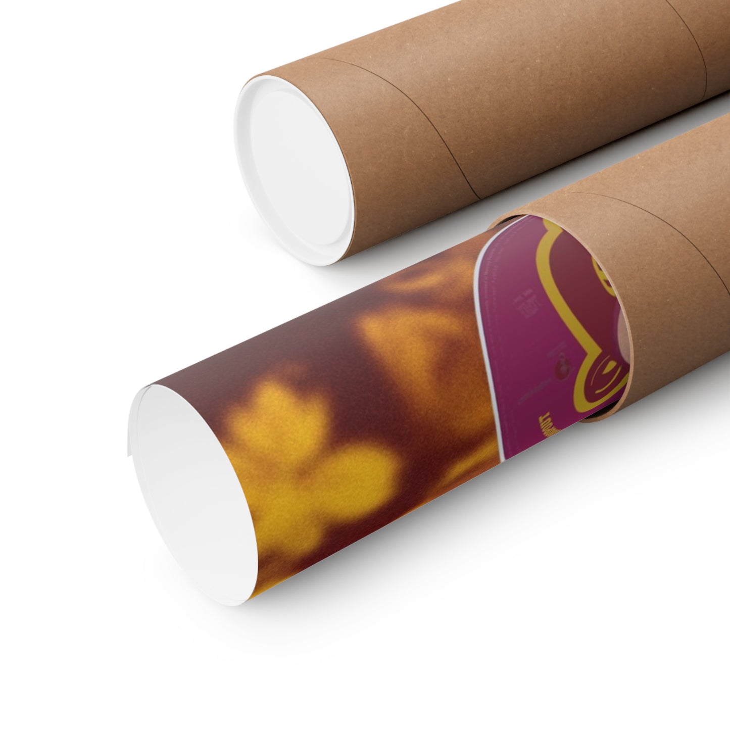 College Dropout Album Poster
